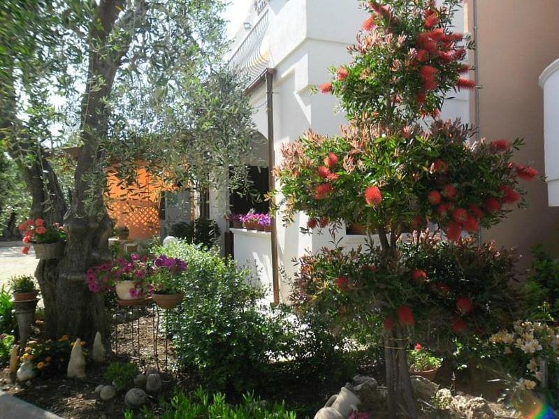 Residence Valleverde Весте Екстериор снимка